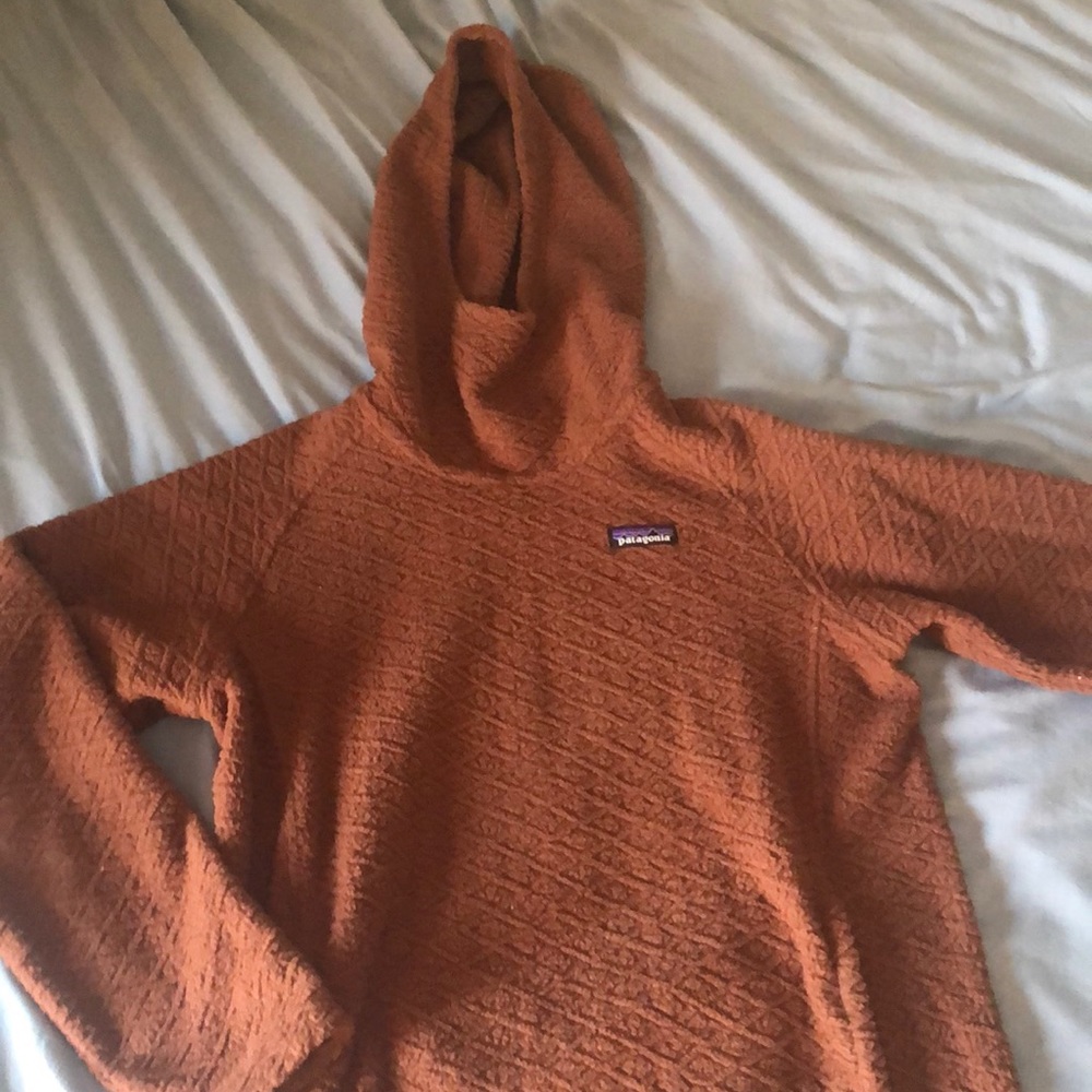 Patagonia Diamond Capra Fleece Hoodie